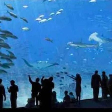 滨海布洛涅L'Amazonia : Face A La Basilique Parking Gratuit公寓 外观 照片